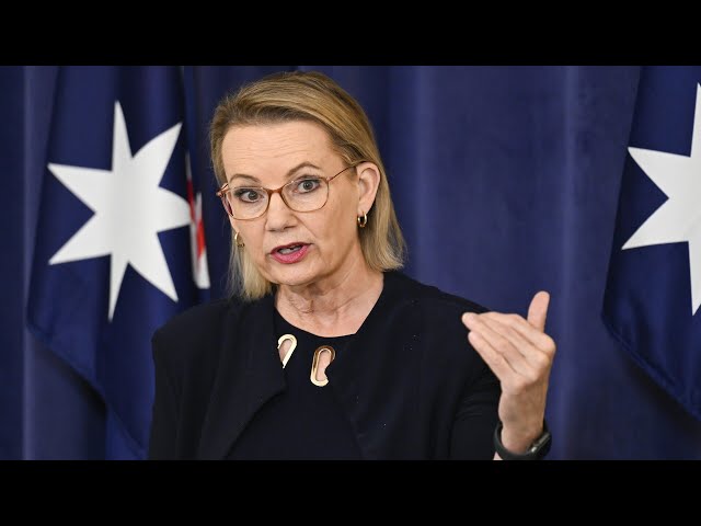 Sussan Ley criticises new hate speech legislation for not mentioning ‘radical Islam’