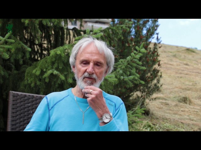 Paolo J. Knill. On the notion of -the third-. 2016