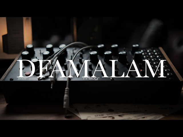 The BEST DRUM SYNTH for the MONEY?- The Moog DFAM