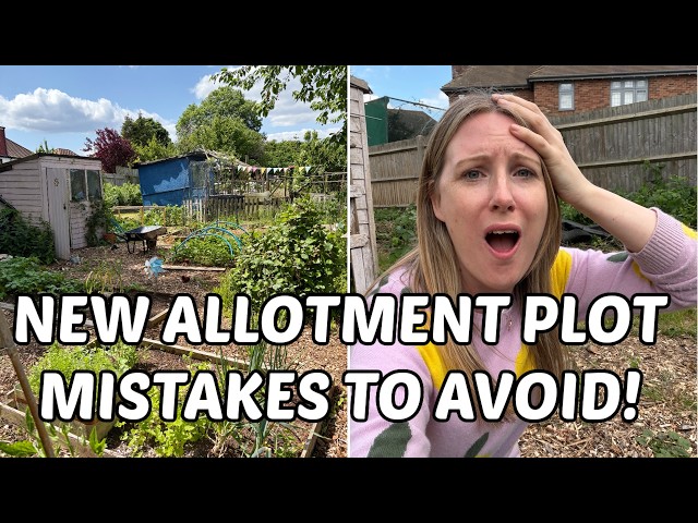 MISTAKES TO AVOID ON YOUR FIRST ALLOTMENT PLOT