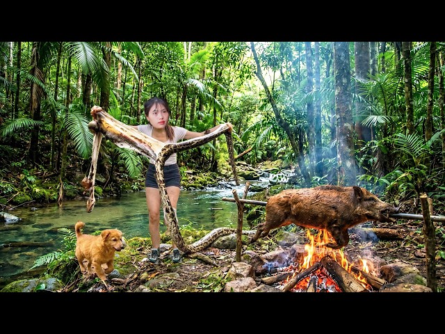 Survival Alone, Catching a Python Bare-Handed, Hunting Wild Boar, Campfire Cooking