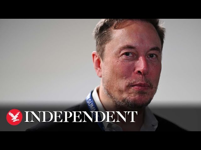 Elon Musk says AI is potentially 'most pressing' existential risk to humans