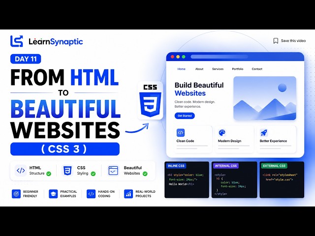 Day 11 | Start CSS Today! |  HTML Wrap-Up + CSS Introduction (3 Ways to Write CSS)