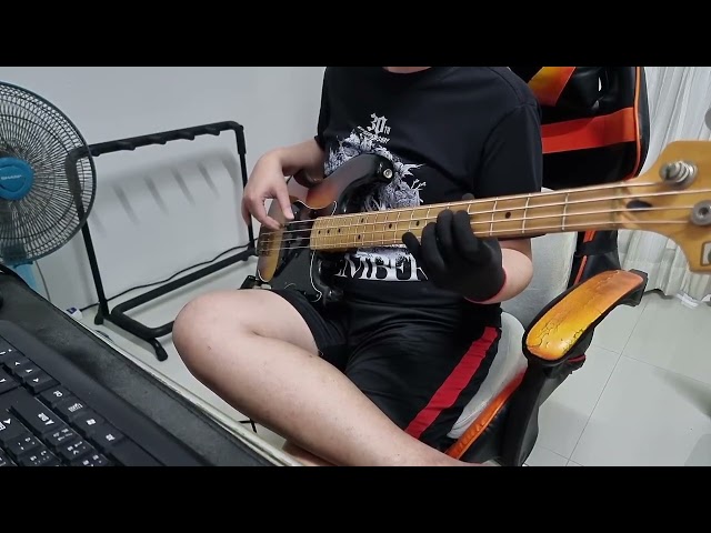 Message in a bottle - The Police | Bass Cover