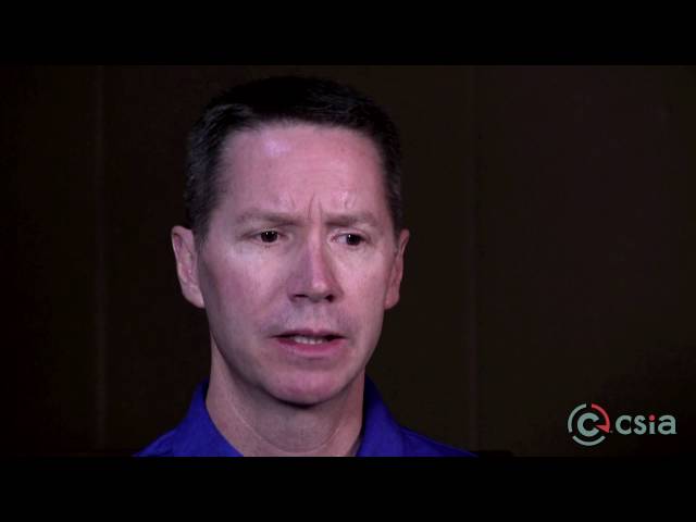 Explaining the diverse nature of the system integration industry