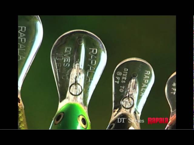 Serie Rapala® DT® (Dives-To)