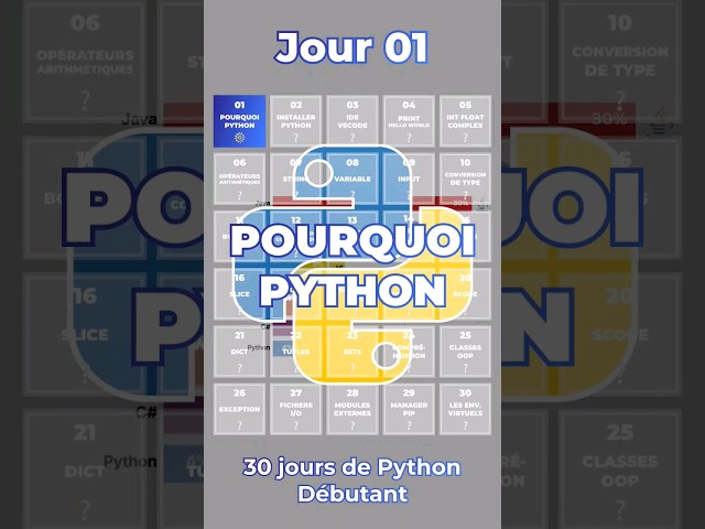 Pourquoi apprendre Python ? Jour 1/30