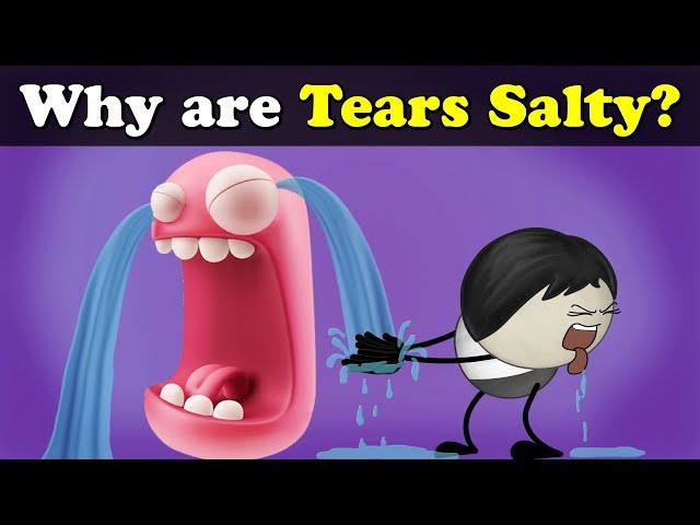 Why are Tears Salty? + more videos | #aumsum #kids #science #education #children