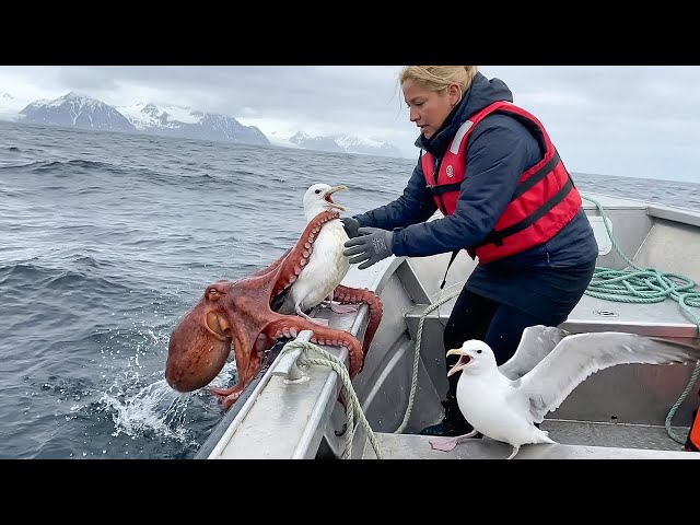 Animals That Asked People for Help & Kindness