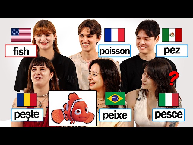 Word Differences Between Romance Language! l Which Language Is The Odd One?