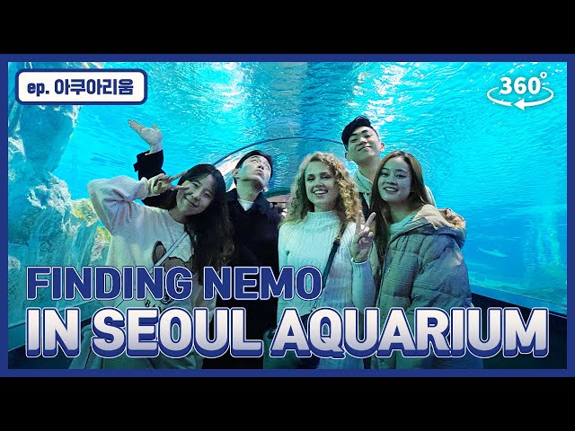 [Seoul Tour] 🐠Finding Nemo in Coex Aquarium! Come and Explore with Us!