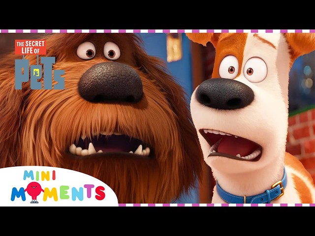 Max's New Brother! 😨 🐶 | The Secret Life Of Pets | Movie Moments | Mini Moments