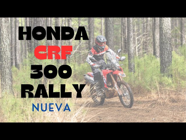 Nueva Honda CRF 300 Rally 2025