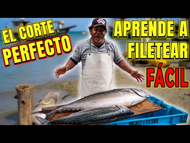 How to FILLET an ATLANTIC BONITO in 3 SIMPLE Steps