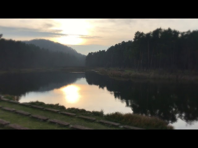 Aakash Gandhi - Kiss the Sky (Classical Romantic Sound)