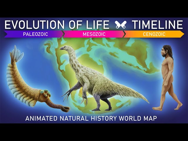 EVOLUTION OF LIFE .Timeline + Animated prehistoric world map