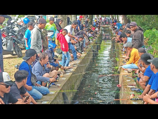 My first catfish fishing competition on Jl Karet was exciting and intense.