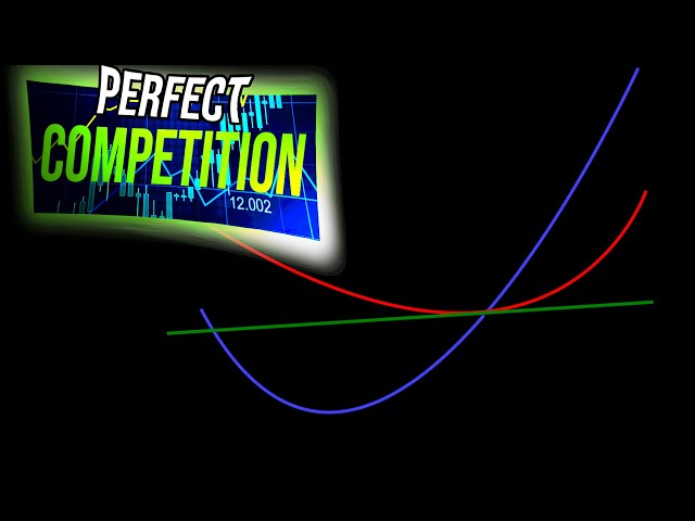 “Perfect Competition” is not Capitalism - ANALYSIS
