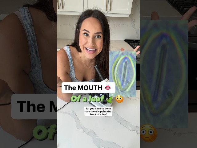 Did you know leaves have mouths 😳🍃👄!! Science for kids! #plants #photosynthesis