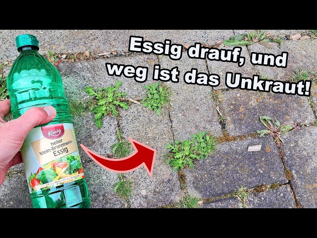 How to easily and quickly remove weeds with vinegar!