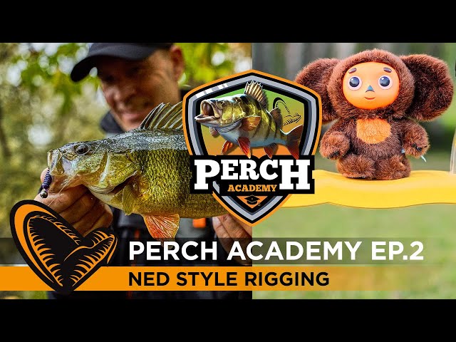Perch Academy - Episode 2 - NED Style Rigging