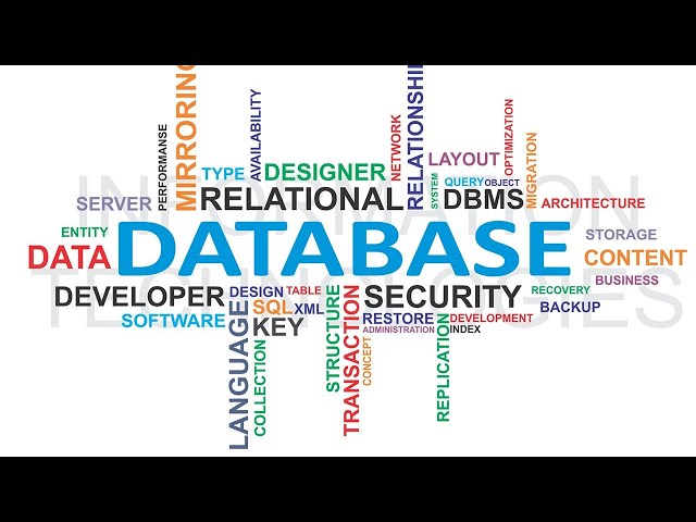 Basic Guide to Creating a MySQL Database with phpMyAdmin