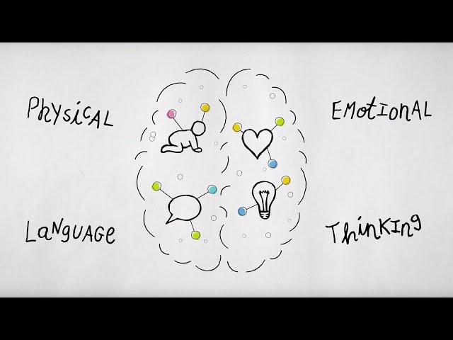 Baby Brain: Growth and Development