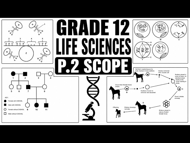 2026 LIFE SCIENCES PAPER 2, PREDICTION GRADE 12 MAY JUNE EXAMS [THUNDEREDUC] GRADE 12 LIFE SCIENCES