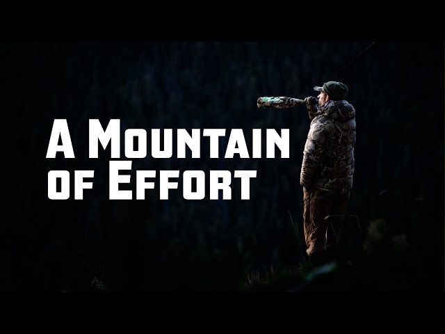 HUNTING BIG BULLS IN THE ALPINE | AN ARCHERY ELK FILM