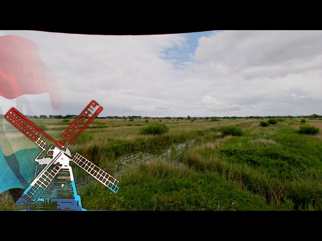 Netherlands VR - Rainy Bird Watch - VR180 360 3D