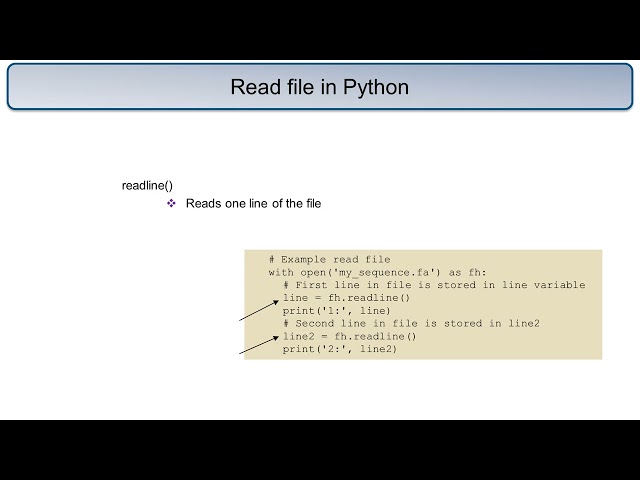 Python File handling