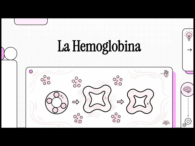 Biochemistry of Hemoglobin: Bohr Effect, Cooperativity, and 2,3-BPG