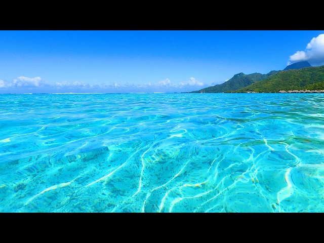 🔴 Peaceful Blue Ocean Waves 🌊😌🩵 24/7 Tropical Calm (Real Waves, Real Sounds, No AI)