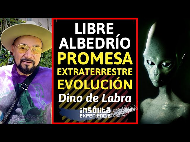 FREE WILL I The extraterrestrial promise of evolution: DINO DE LABRA
