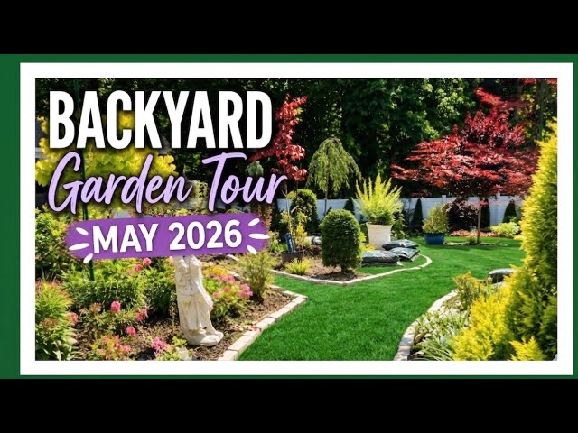 May Backyard Garden Tour 🌿 | 2026