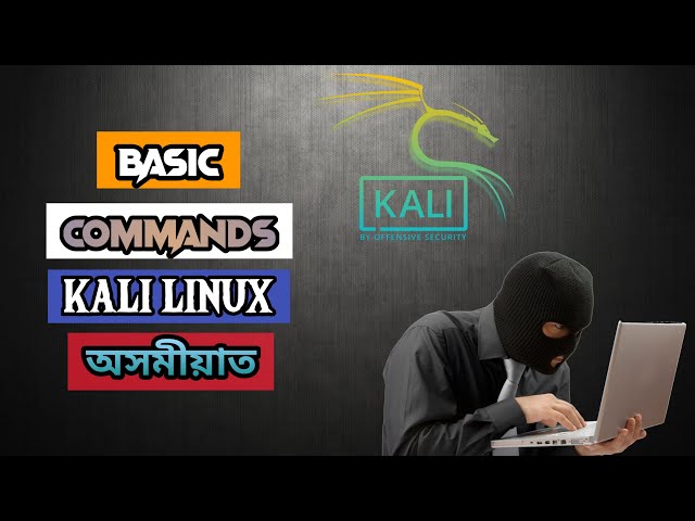 Kali Linux Basics Commands in Assamese | অসমীয়াত চাওঁক Kali Linux ৰ Besic Command | Assamese Hacking