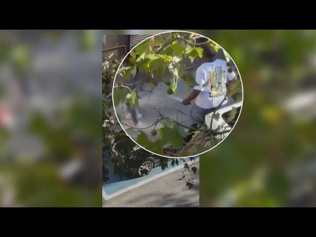 Seis detenidos por apuñalar a un joven de 20 años en San Blas