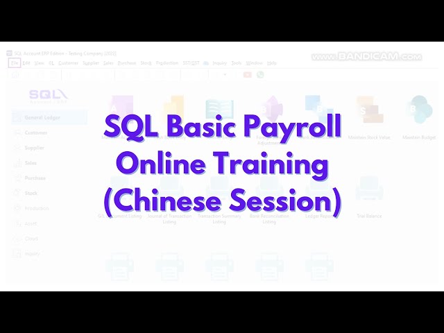 SQL Basic Payroll Online Training (Chinese Session) - Recorded Video 25/7/25