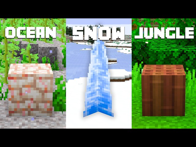 I Added a Block for EVERY BIOME in Minecraft