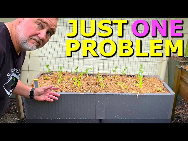EASIEST Raised Garden Bed Planter I've EVER Built