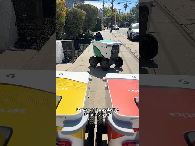 The Real Robots of Beverly Hills - Three's a Crowd | Serve Robotics x Uber Eats