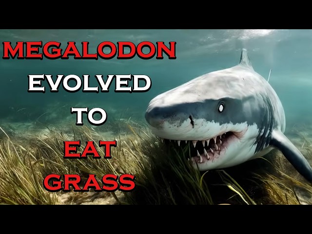 This AI Generated Megalodon Video Is Utter Nonsense