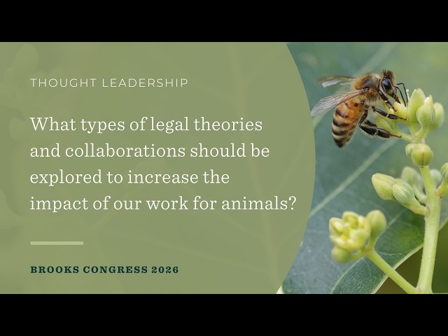 What legal theories and collaborations should be explored to increase the impact of our work?