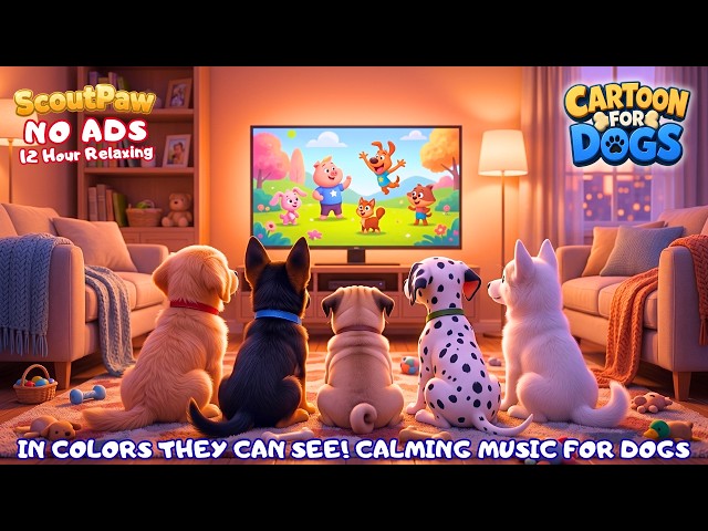 🔴Fun Cartoon For Dogs, In Colors They Can See ✨🦮 Best TV For Home Alone Dogs | Music For Dogs 2026