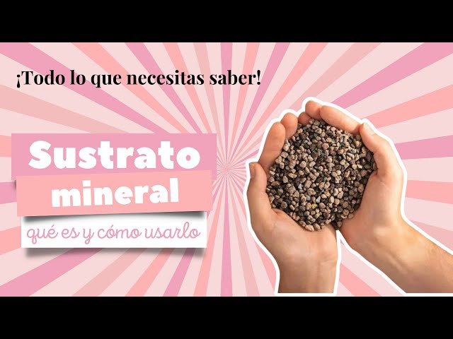 Mineral substrate (or Pon): what it is and how to use it. I'll tell you everything you need to know!