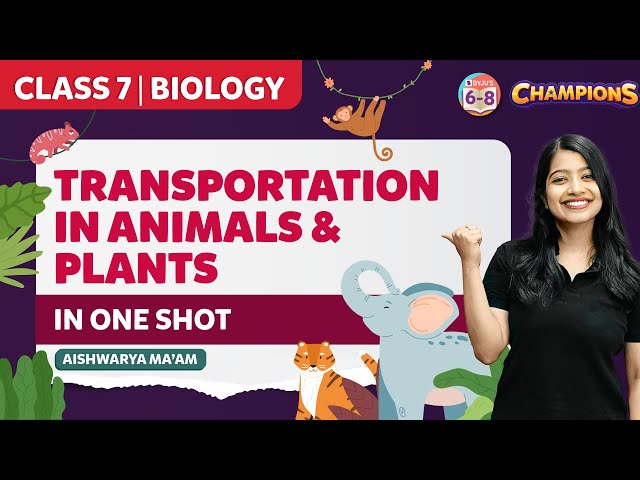 Transportation in Animals and Plants Class 7 Science (Biology) in One-Shot | CBSE Class 7 Exams 2023