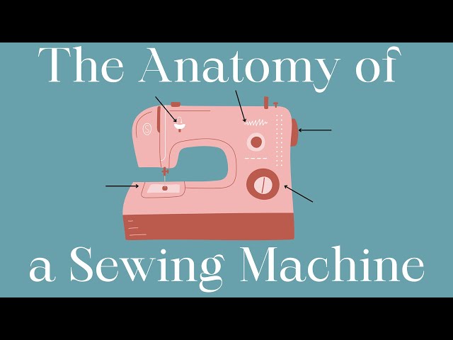 Parts of a Sewing Machine and What Do They Do