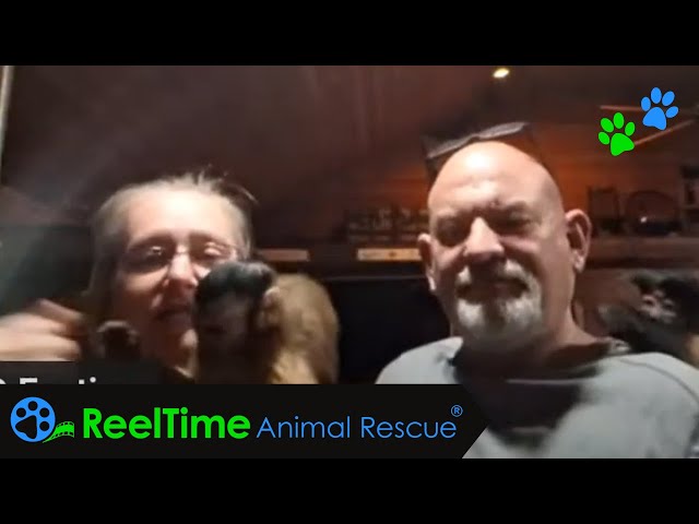 The Heart of SEMO Exotic Sanctuary: A Conversation with the Robinsons | SEMO Exotic Sanctuary