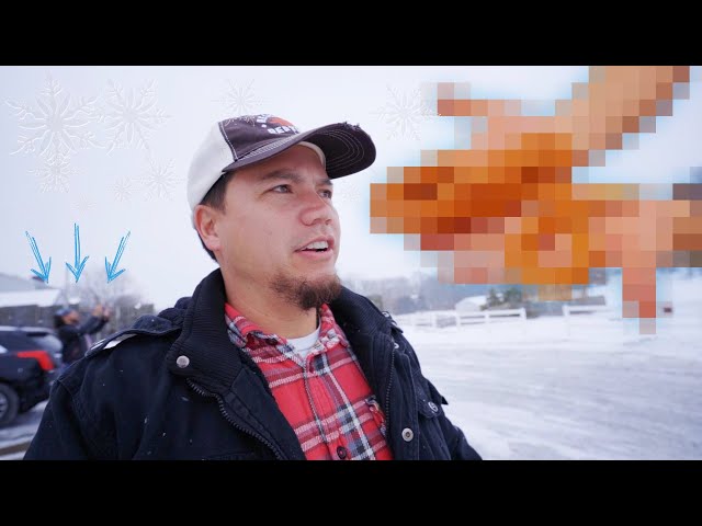 Something NO ONE has EVER SEEN