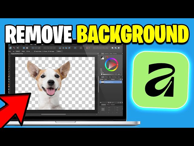 How To Remove Background In Affinity By Canva - Updated Guide